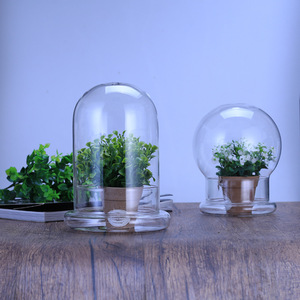 Modernes Design Globus Glasglocke <span class=keywords><strong>Terrarium</strong></span> mit Sockel Transparent für Innendekoration und Tischvase - Product Image 1
