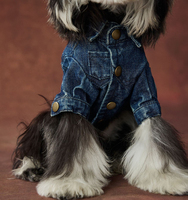 Nouvelle veste en jean pour chien, design tendance, vêtements pour animaux de compagnie