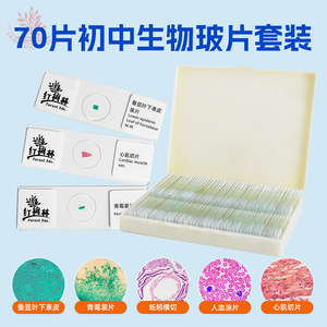 A complete set of junior high school biology <b>microscope</b> slides containing 70 different specimens, including animals, plants, - Product Image 3