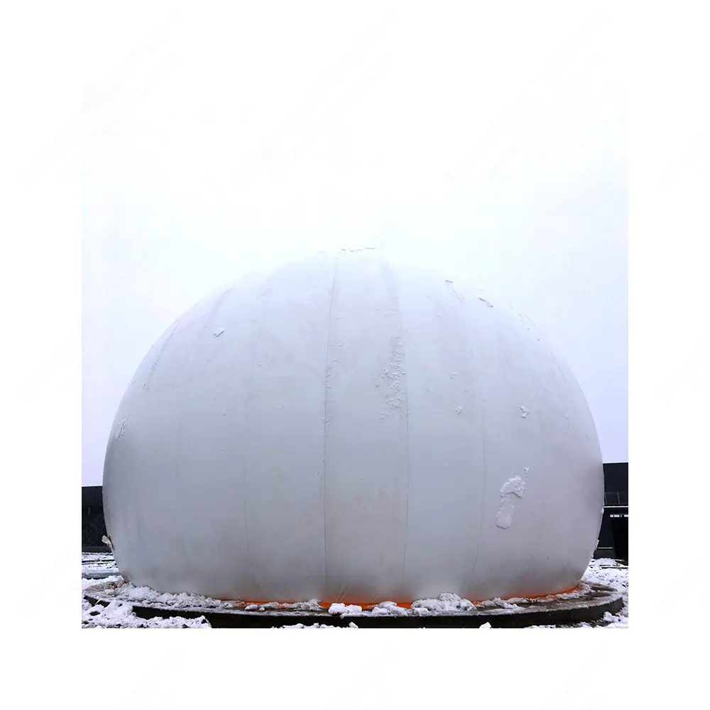 Chinese CE Pioneer of Wastewater Storage Vessel Tank/Digester Mini Biogas Anlage for Biogas Plant