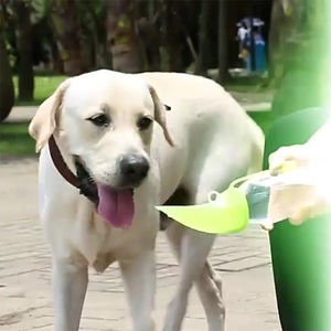 Silicone <span class=keywords><strong>Pet</strong></span> Feeder chai nước thân thiện với môi cao cấp <span class=keywords><strong>Pet</strong></span> phụ kiện cho <span class=keywords><strong>pet</strong></span> uống Dispenser - Product Image 2