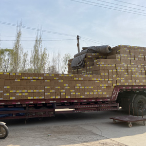 Sac <span class=keywords><strong>de</strong></span> culture <span class=keywords><strong>de</strong></span> plantation <span class=keywords><strong>de</strong></span> jardin <span class=keywords><strong>de</strong></span> 10 gallons avec poignée et rabat durables pour la plantation <span class=keywords><strong>de</strong></span> pommes <span class=keywords><strong>de</strong></span> <span class=keywords><strong>terre</strong></span> - Product Image 6