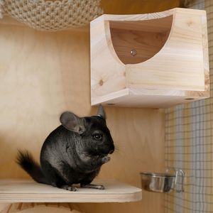 Legno quadrato naturale casa di cincillà stile di arte popolare dipinto piccolo rifugio animale capanna per cincillà scoiattolo zucchero alianti gabbia - Product Image 4