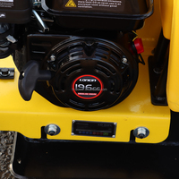 Fabricant personnalisé de haute qualité moteur avant plaque compacteur machine manuel mini terre vibrateur compacteur pilonneuses