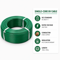 Kabel Rumah Tangga Tembaga Berinsulasi XLPE Tahan Api 450V/250V/300V IP65 untuk Penggunaan Bangunan dalam Ukuran 12/10/6/4/8 AWG