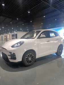 Mobil listrik <span class=keywords><strong>mini</strong></span> dengan kecepatan rendah dan harga murah untuk dua penumpang dewasa orang tua - Product Image 4