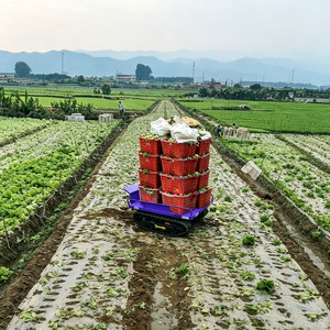 Véhicule transporteur à chenilles en caoutchouc à double alimentation par batterie pour la logistique agricole et la manutention des fruits - Product Image 6