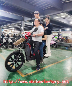 EEC/CE Hot Sale Electric <strong>Bike</strong> With Hidden Battery Bicycle Moped <strong>Charging</strong> <strong>Bike</strong> Motorcycle with Fold-up Double Rack LCD Display - Product Image 2