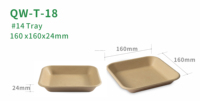 Vaisselle carrée jetable en bagasse de canne à sucre Plateau alimentaire écologique pour fruits et légumes pour supermarchés