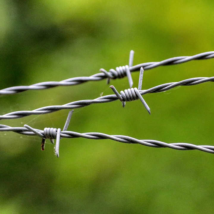 Fence Barbed Wire for Fencing Cheap Blade Pvc Electric 100m Different ...