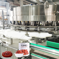 Fabriek Directe Levering Automatische Ingeblikte Kikkererwten Groene Erwtenverwerkingslijn Nieuwe Productielijn Voor Plantaardige Fruitconservenmachines