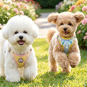 Harnais de type gilet pour animaux de compagnie, réglable, en polyester, pour petits chiens, Bichon Frise, utilisation quatre saisons - Product Image 1