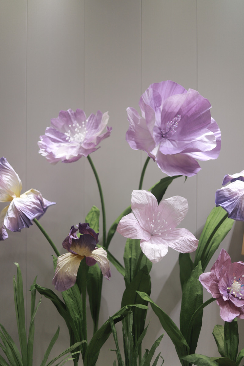 Purple poppy