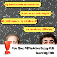 Smart Battery Voltage Checker 1S Active Balancer Equalizer for Solar ESS UPS Power Station System LiFePO4 Support Ultra-low