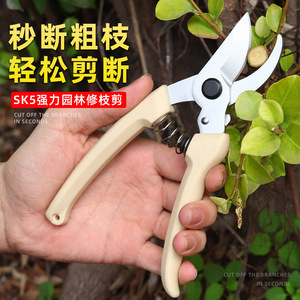 Hiroki Oka Pruning <b>Shears</b> SK5 Carbon Steel 20-30 Mm Bypass For Fruit Trees Garden <b>Tools</b> - Product Image 1
