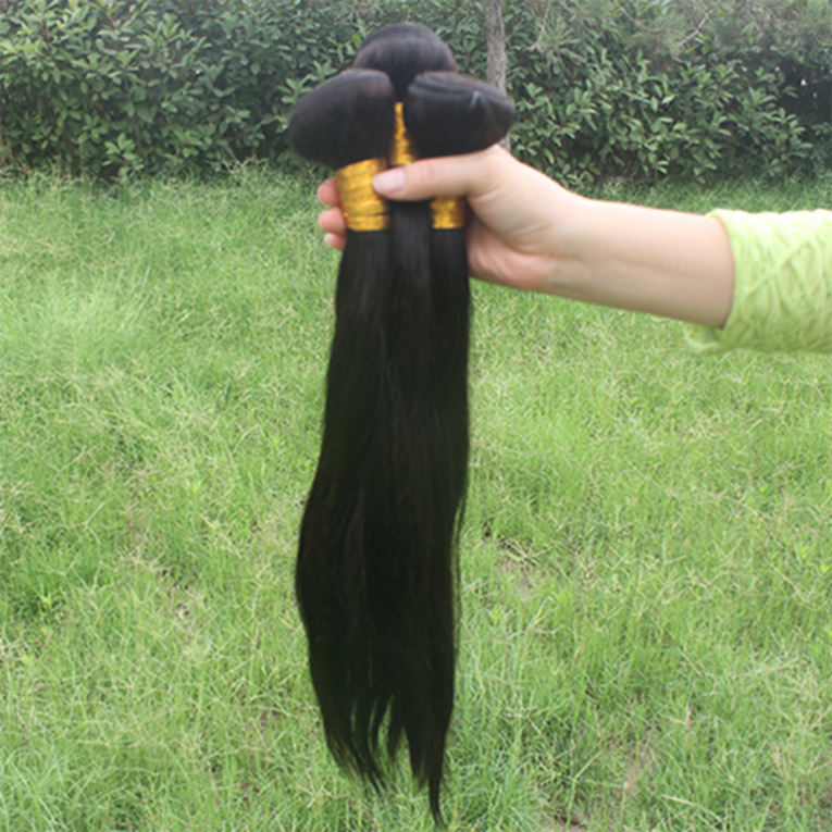 Conchyliculture Noir droite