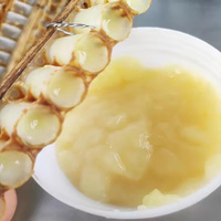 Poudre de gelée royale lyophilisée 10-HDA 4,0 % 5,0 % 6,0 %