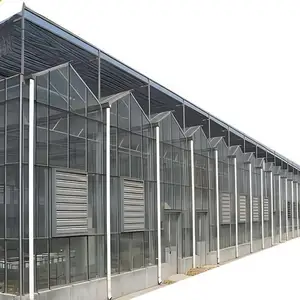 Offre Spéciale de haute qualité prix usine serre commerciale Venlo serre Polycarbonate agriculture PC feuille serres