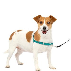 <span class=keywords><strong>Harnais</strong></span> pour chien Martingale réglable en nylon pour animaux de compagnie Contrôle facile <span class=keywords><strong>Harnais</strong></span> personnalisé sans <span class=keywords><strong>traction</strong></span> pour chiens de taille moyenne à grande - Product Image 2