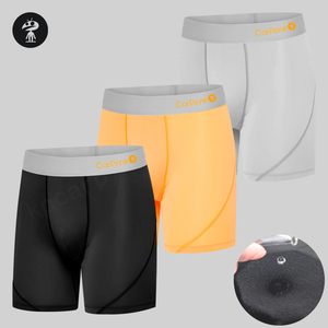 2025 Hot Sale Customized Logo Long Leg Comfortable Men's <b>Boxer</b> Brief <b>Polyester</b> Quick Dry Sport Men's Underwear <b>Boxer</b> - Product Image 1