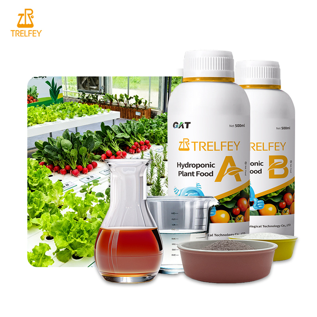Balanced Hydroponic Fertilizer 11-9-31+TE Promotes Rapid Growth of Lettuce and Spinach in NFT Systems