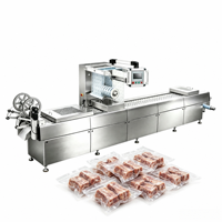 Automatische industriële stretchfolie vacuümverpakkingsmachine voor vers vlees, bacon, vis en kaas