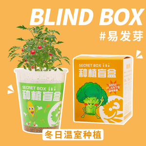Caja Sorpresa con Plantas en Mini Macetas para Niños, Juguete de Exploración de la Naturaleza con Semillas Fáciles de Cultivar en Interiores en Invierno - Product Image 1