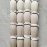 Premium A +++ Grade 30 "-35" longue queue de crin de cheval de couleur blanche naturelle mongole pour poils de corde d'arc de violon