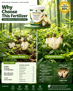 <span class=keywords><strong>Engrais</strong></span> pour champignons Dictyophora 500g : Stimule le mycélium et le rendement pour la culture de champignons de <span class=keywords><strong>bambou</strong></span> - Product Image 4