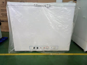 Réfrigérateur/Congélateur coffre 200L à absorption, simple porte, électrique/gaz, à prix équitable, pour camping, modèle DSG-200B1 - Product Image 3