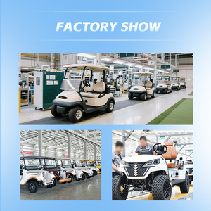 Auto Elettrica da Golf 2025 a 4 Posti con Batteria al Litio, Carrello da Golf Fuoristrada in Acciaio - Product Image 3
