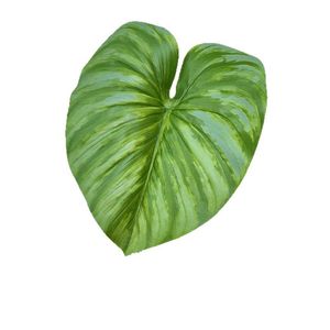 Usine de fleurs artificielles Meiyu Craft, feuilles de philodendron artificielles 30cm-100cm, décoration tropicale pour la maison, accessoires de mariage - Product Image 5
