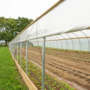 Pellicola resistente ai raggi UV della fabbrica della cina uva del frutteto/copertura di plastica della tenda della ciliegia poli film rinforzato per la serra