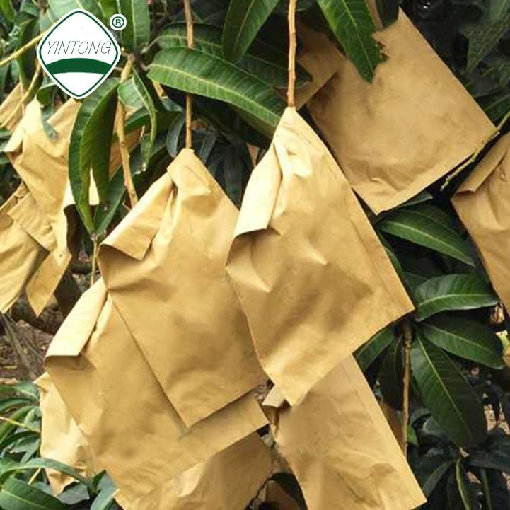Factory Price Mango Bag China Manufacturer Fruit Protection Paper Bag for  Mango Covering