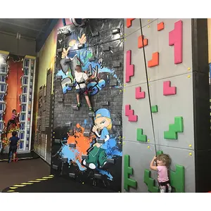 Cheer Amusement Creative Indoor Playground Climbing Walls Soft/ Rock Climbing Wall Equipment