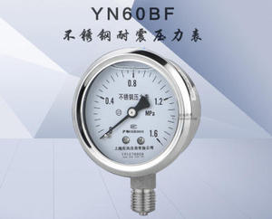 Manómetro Y60BF, 0-40MPA, Radial, Totalmente de Acero, 65 mm, Interfaz PT1/4, Marca JIANGYUE, Nuevo y Auténtico - Product Image 1