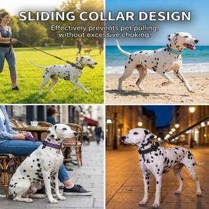 Correa Reflectante de Nailon de una Sola Cara YG-108 con Hebilla Deslizante y <span class=keywords><strong>Collar</strong></span> Grabado para Perros - Product Image 3