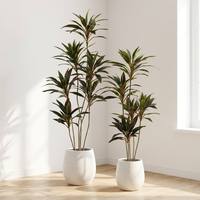 Venta al por Mayor de Fábrica: Planta Artificial Moderna de Dracaena, Árbol Artificial Realista para Decoración del Hogar y Oficina, OEM/ODM Disponible