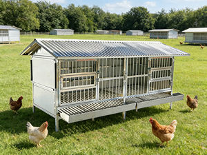 Paslanmaz Çelik Açık Hava Tavuk Kümesi ve Tavşan Kafesi, Tekerleklerle Kolay Taşınabilir, Nefes Alabilen Tasarım, Kolay Kurulum - Product Image 1
