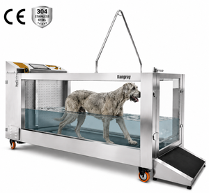 Caminadora Subacuática para Perros Kangray de Alta Resistencia, Máquina de Hidroterapia de Acero Inoxidable 304 con Certificación CE para Rehabilitación de Mascotas - Product Image 1