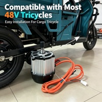 Moteur sans balais DC 48V 1000W 3200 tr/min IP54 Classe B Isolation de classe B Aimant haute résistance Moteur de tricycle électrique