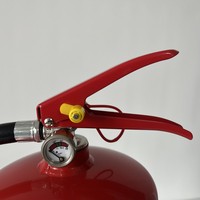 Ventes Flash Prix Compétitif 1kg, 2kg, 4kg, 6kg, 9kg Extincteur à Poudre Sèche ABC 60% Cylindre CE/EN3