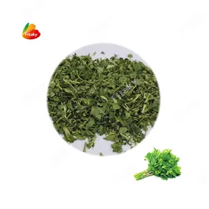 Hot Sale Coriander Dried Dehydrated Coriander Leaves Flakes Dried Coriander Leaves