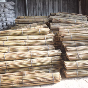 Commercio all'ingrosso Tokin canne di bambù pali pali di bambù grezzo pali di bambù giganti canne di bambù per il giardino graticcio staffa recinzione - Product Image 6