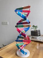 Jouet éducatif médical de biologie : Structure de l'ADN génétique, double hélice, CE/ISO