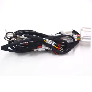 Customized Temperature Collection Wiring Harness PH2.0 Cable Assembly E0308 Terminal Wire Cable Black OEM ODM Accept 1000pcs
