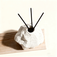 C & H Diffuseur d'huiles essentielles en céramique d'aromathérapie pour l'intérieur, ensemble de roseaux en rotin, bouteille avec bâtons de diffuseur pour la décoration de la maison