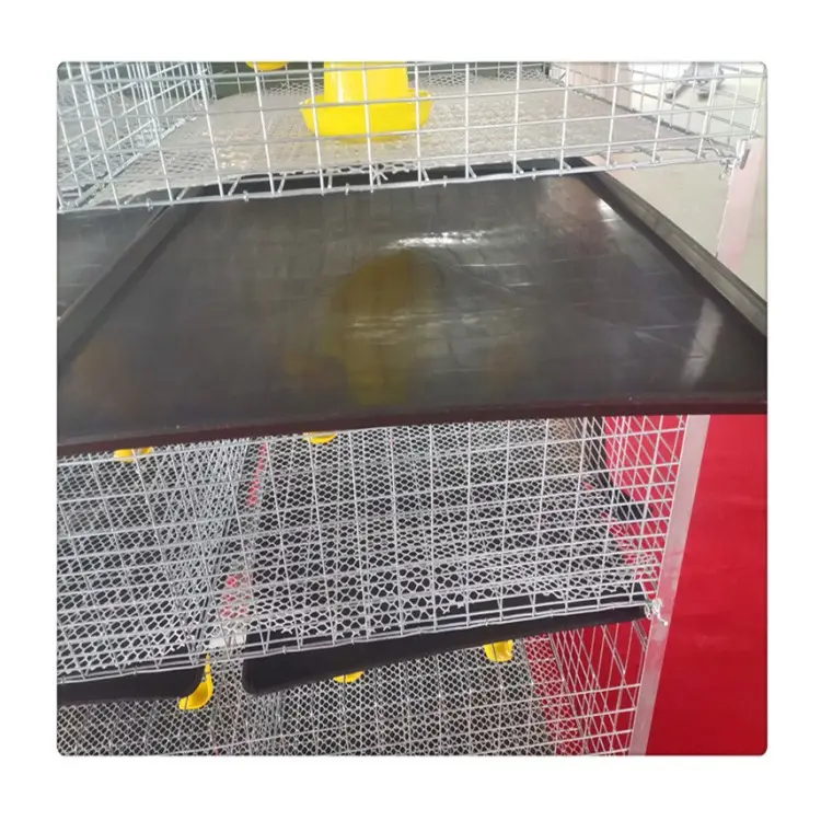 Projet de poulet cage à oiseaux d'exportation de poulet cage couche poule maison pour 1000 poulets