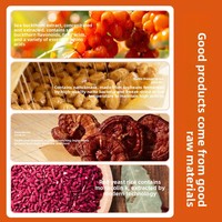 Comprimés de Natto, d'argousier, de Tianma et de Lingzhi Zhongzhonrui 45g Guangxi – Complément alimentaire antioxydant pour le soutien immunitaire et l'énergie