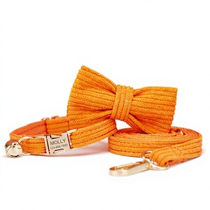 ชุดปลอกคอสุนัขและแมวขนาดเล็ก ผ้ากำมะหยี่สีส้ม พร้อมโบว์ผูก สายจูง และป้ายชื่อสลักชื่อฟรี พร้อมกระดิ่งทอง - Product Image 1